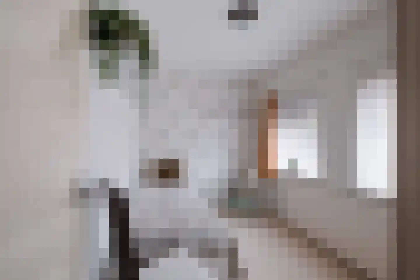 Van der Doortogestraat 16 Naaldwijk thumbnail 30