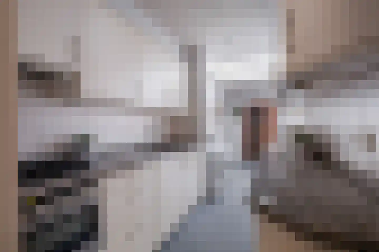 Van der Doortogestraat 16 Naaldwijk thumbnail 8