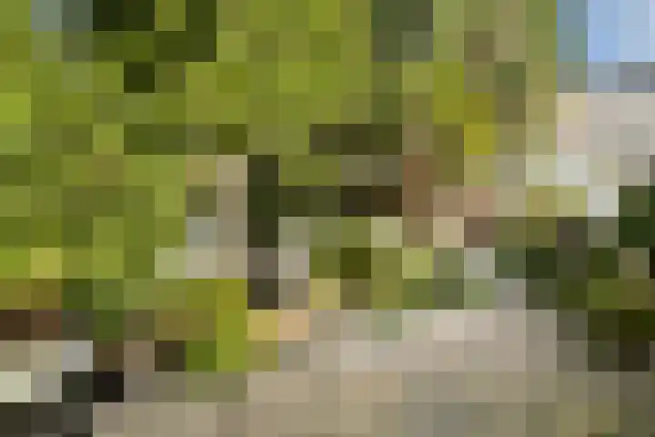 van der Driftstraat 6 Vlaardingen thumbnail 18