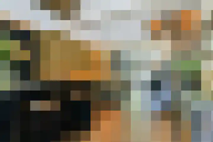 van der Driftstraat 6 Vlaardingen thumbnail 5