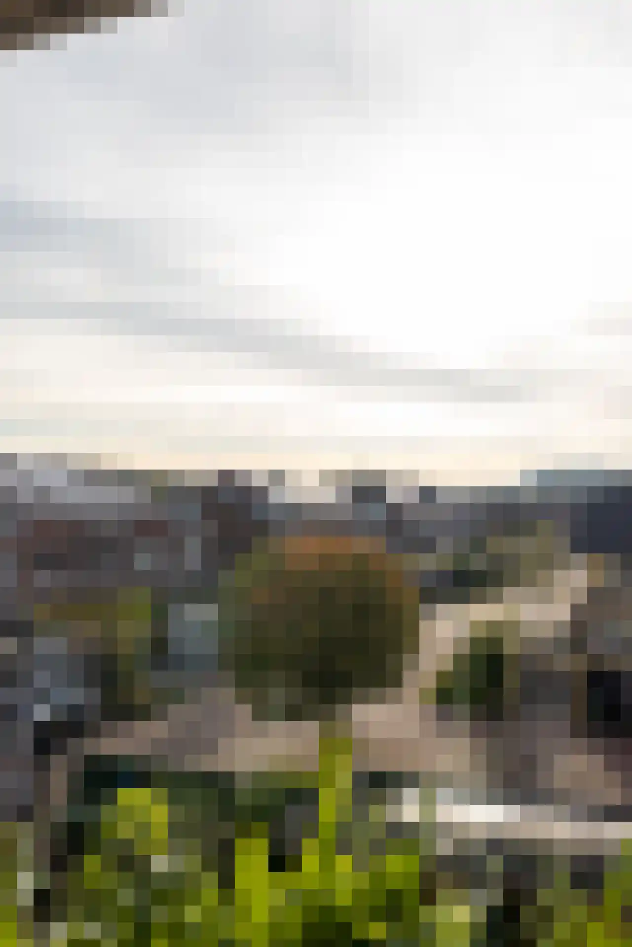 Van der Duijn van Maasdamweg 424 Rotterdam thumbnail 35