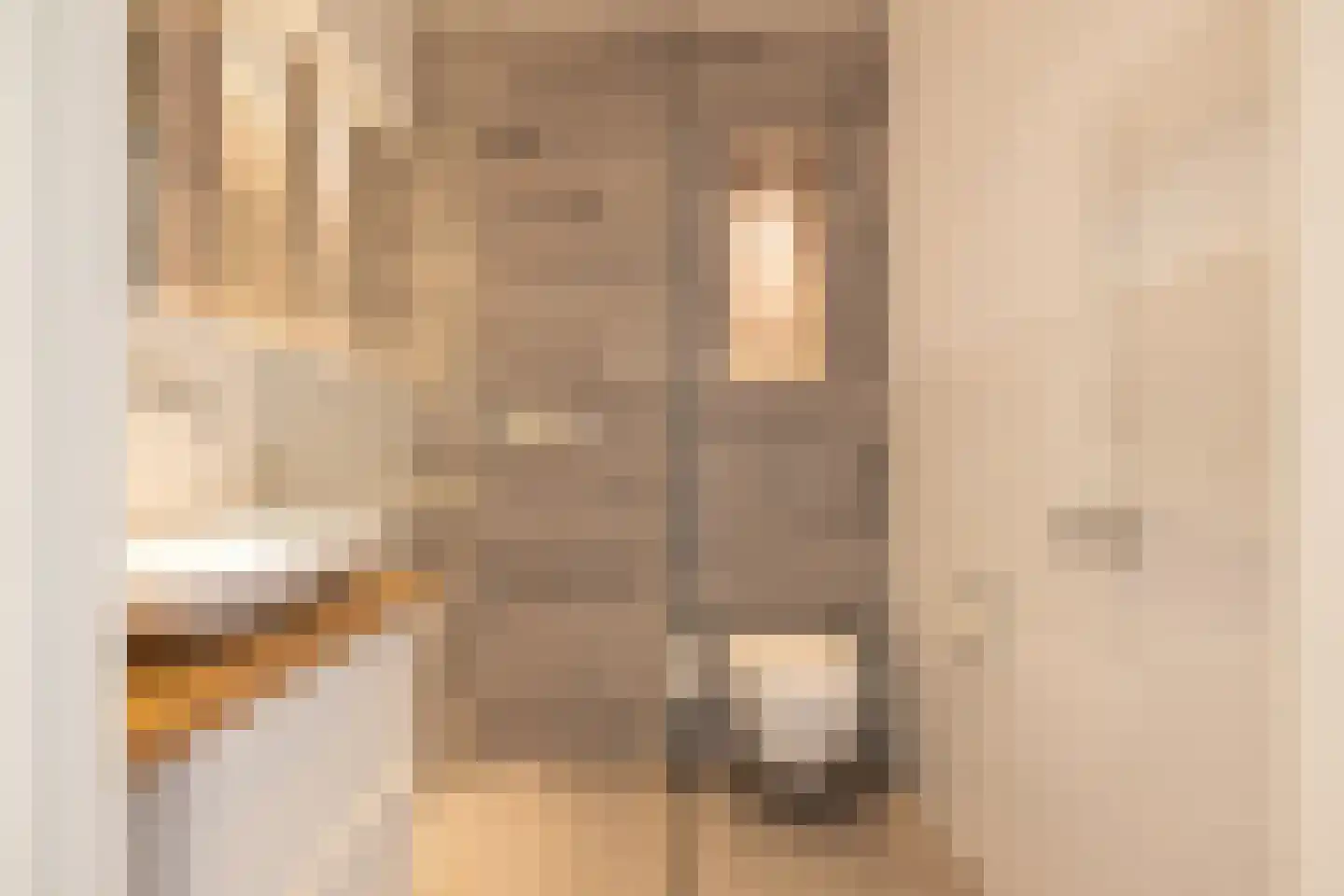 Van der Duijn van Maasdamweg 424 Rotterdam thumbnail 43
