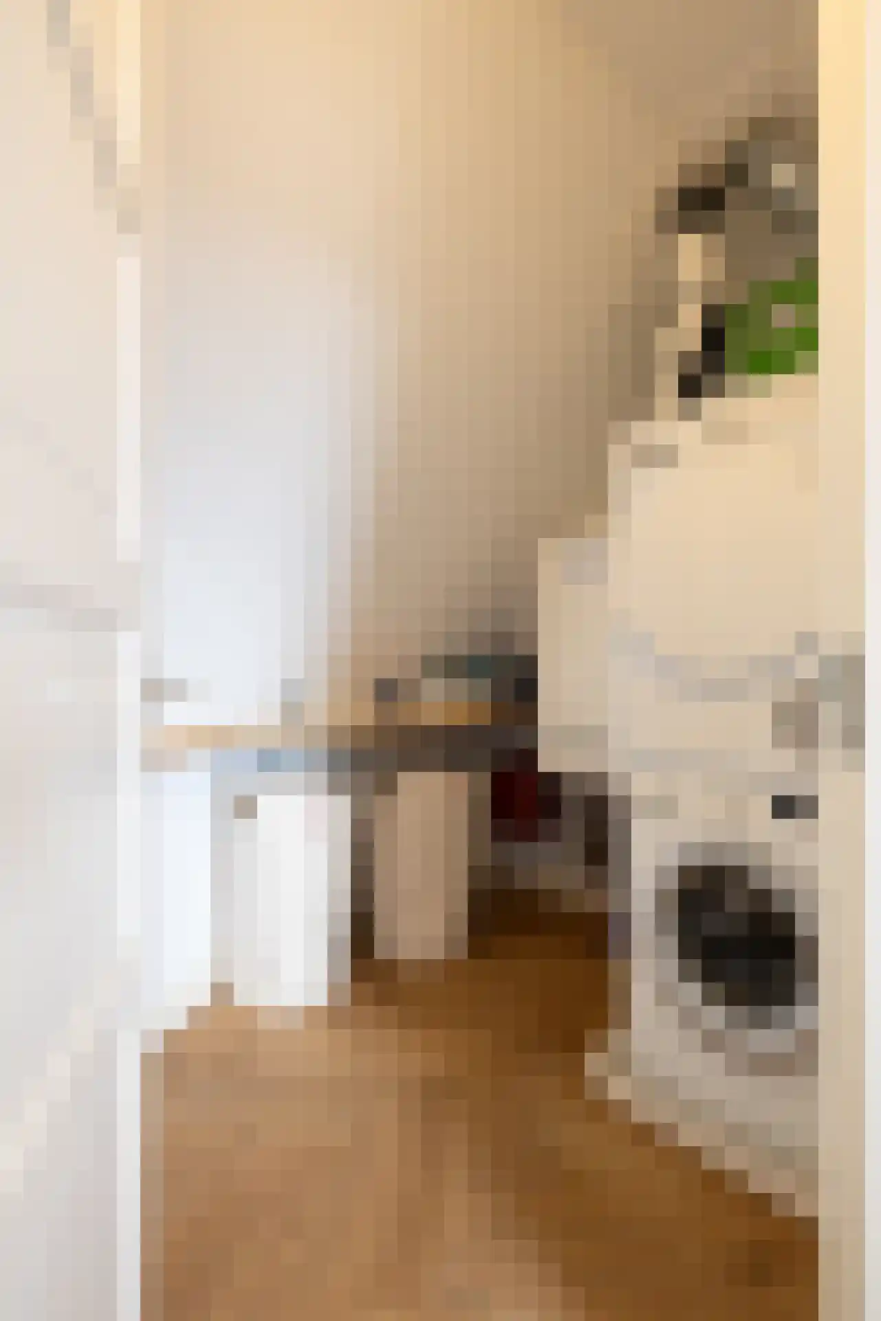 Van der Duijn van Maasdamweg 424 Rotterdam thumbnail 46
