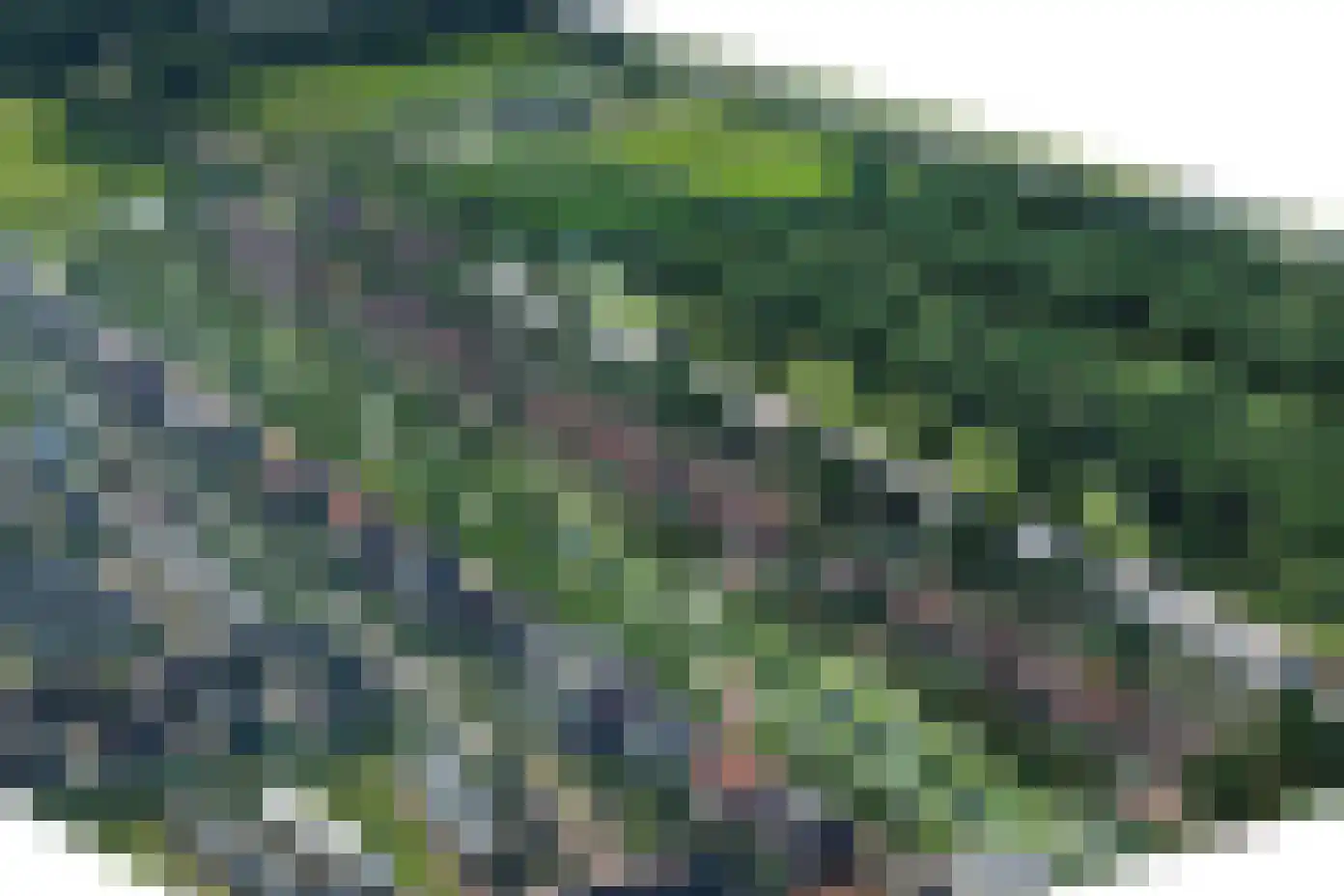 Van der Duijn van Maasdamweg 424 Rotterdam thumbnail 62