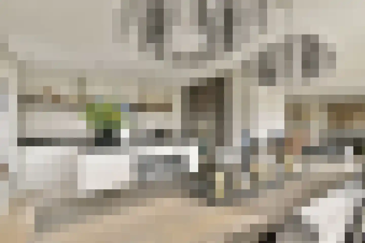 Van der Duijn van Maasdamweg 456 Rotterdam thumbnail 12