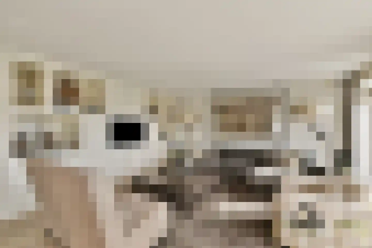 Van der Duijn van Maasdamweg 456 Rotterdam thumbnail 8