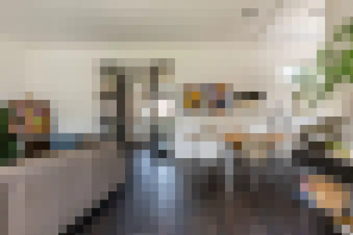 Van der Duijn van Maasdamweg 484 Rotterdam thumbnail 14