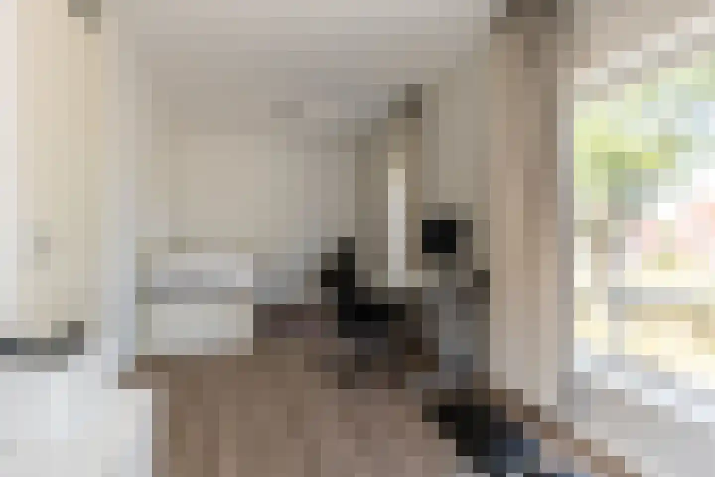 Van der Duijn van Maasdamweg 484 Rotterdam thumbnail 36