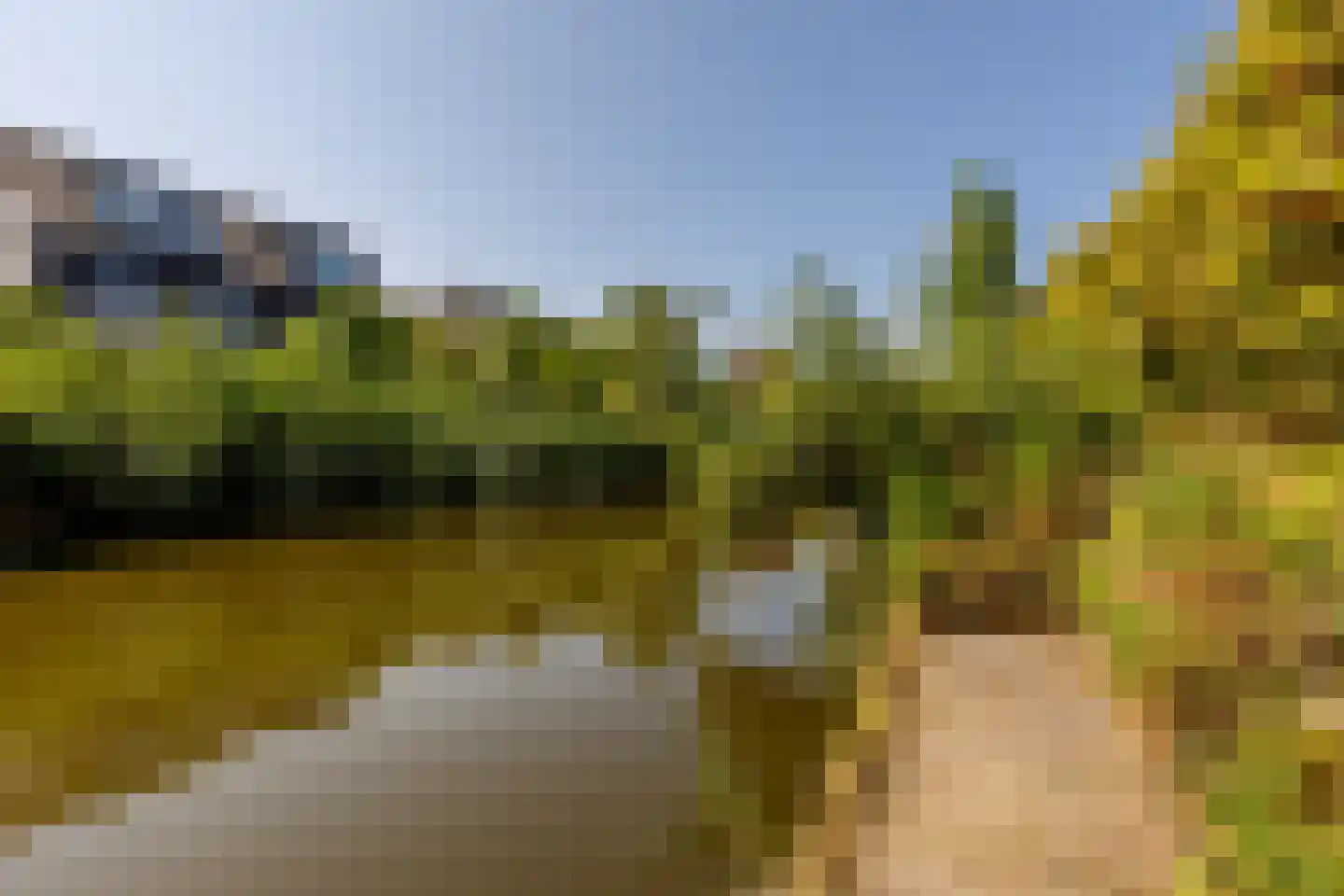 Van der Duijn van Maasdamweg 484 Rotterdam thumbnail 58