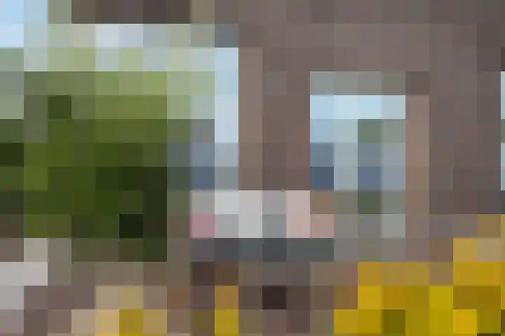 Van der Duijn van Maasdamweg 485 Rotterdam thumbnail 4
