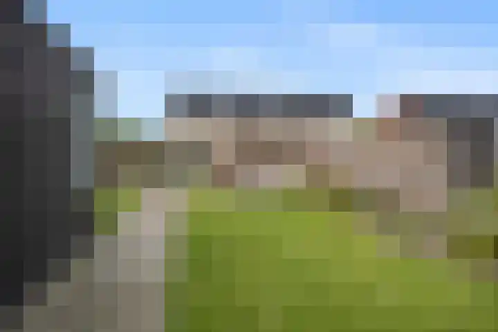 Van der Duijn van Maasdamweg 485 Rotterdam thumbnail 41
