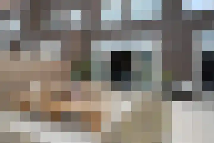 Van der Duijn van Maasdamweg 485 Rotterdam thumbnail 45