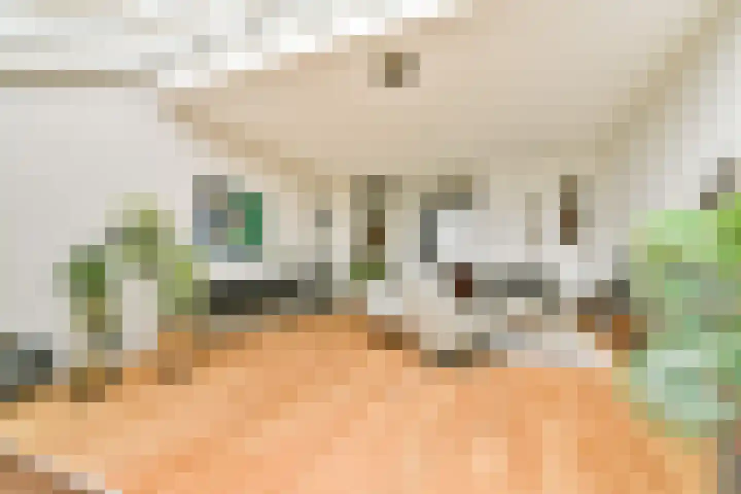 Van der Duijn van Maasdamweg 512 Rotterdam thumbnail 11