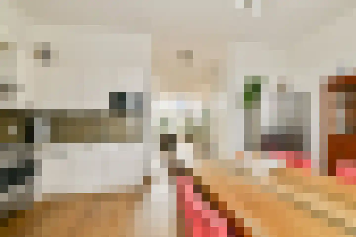 Van der Duijn van Maasdamweg 512 Rotterdam thumbnail 16