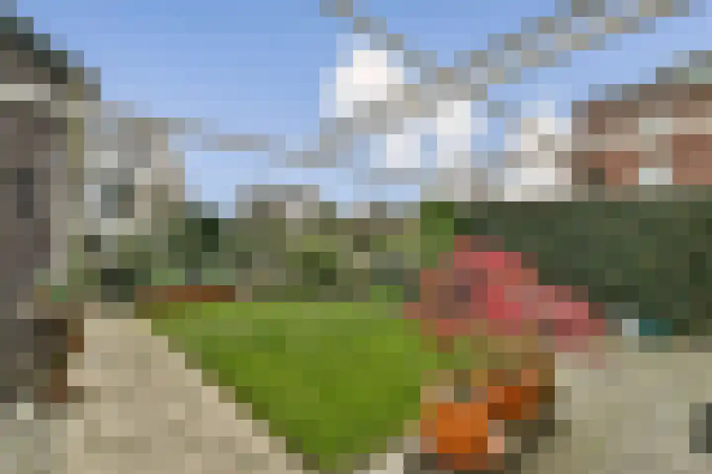 Van der Duijn van Maasdamweg 512 Rotterdam thumbnail 4
