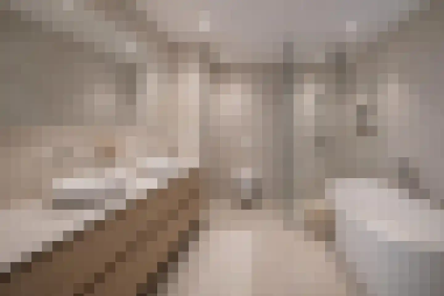 Van der Duijn van Maasdamweg 668 Rotterdam thumbnail 12