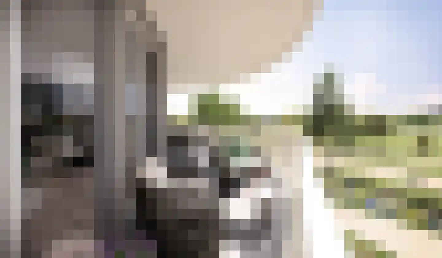 Van der Duijn van Maasdamweg 668 Rotterdam thumbnail 4