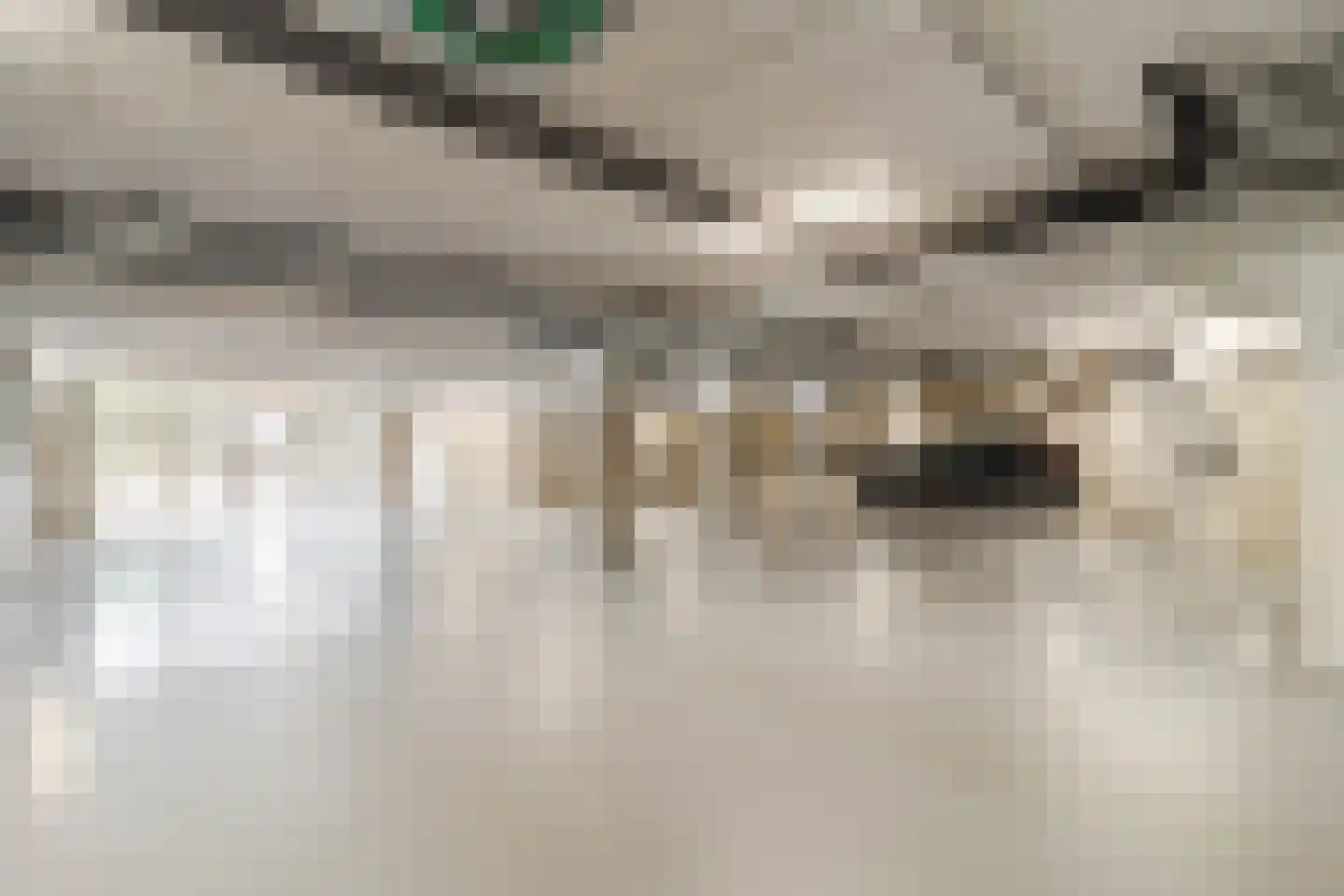 Van der Duijn van Maasdamweg 668 Rotterdam thumbnail 49