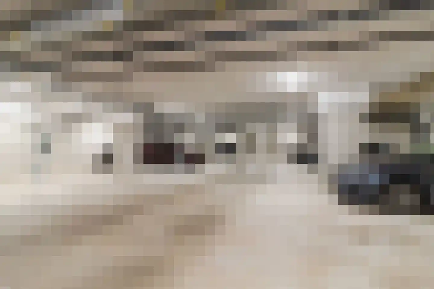 Van der Duijn van Maasdamweg 668 Rotterdam thumbnail 50