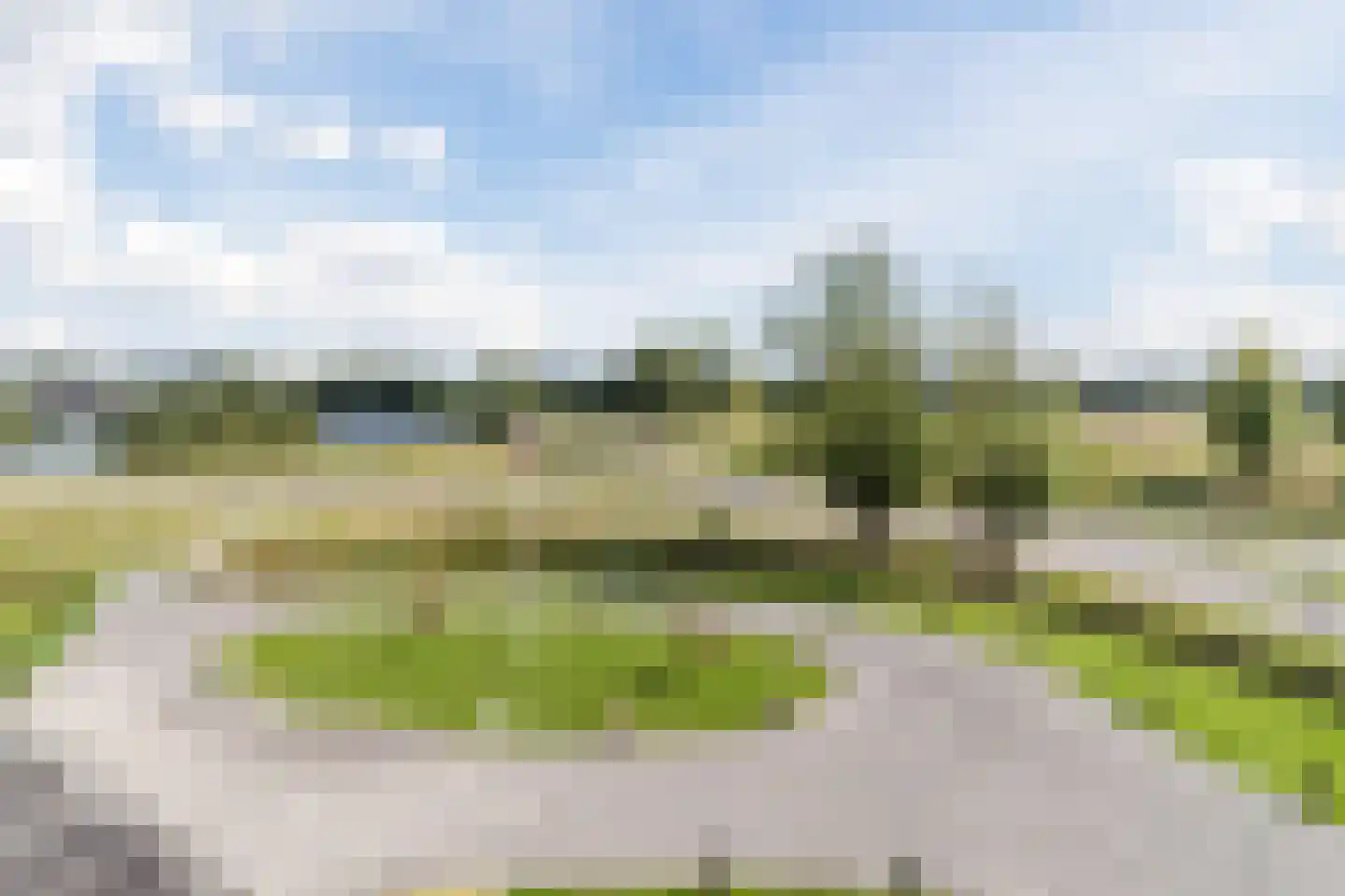 Van der Duijn van Maasdamweg 668 Rotterdam thumbnail 59