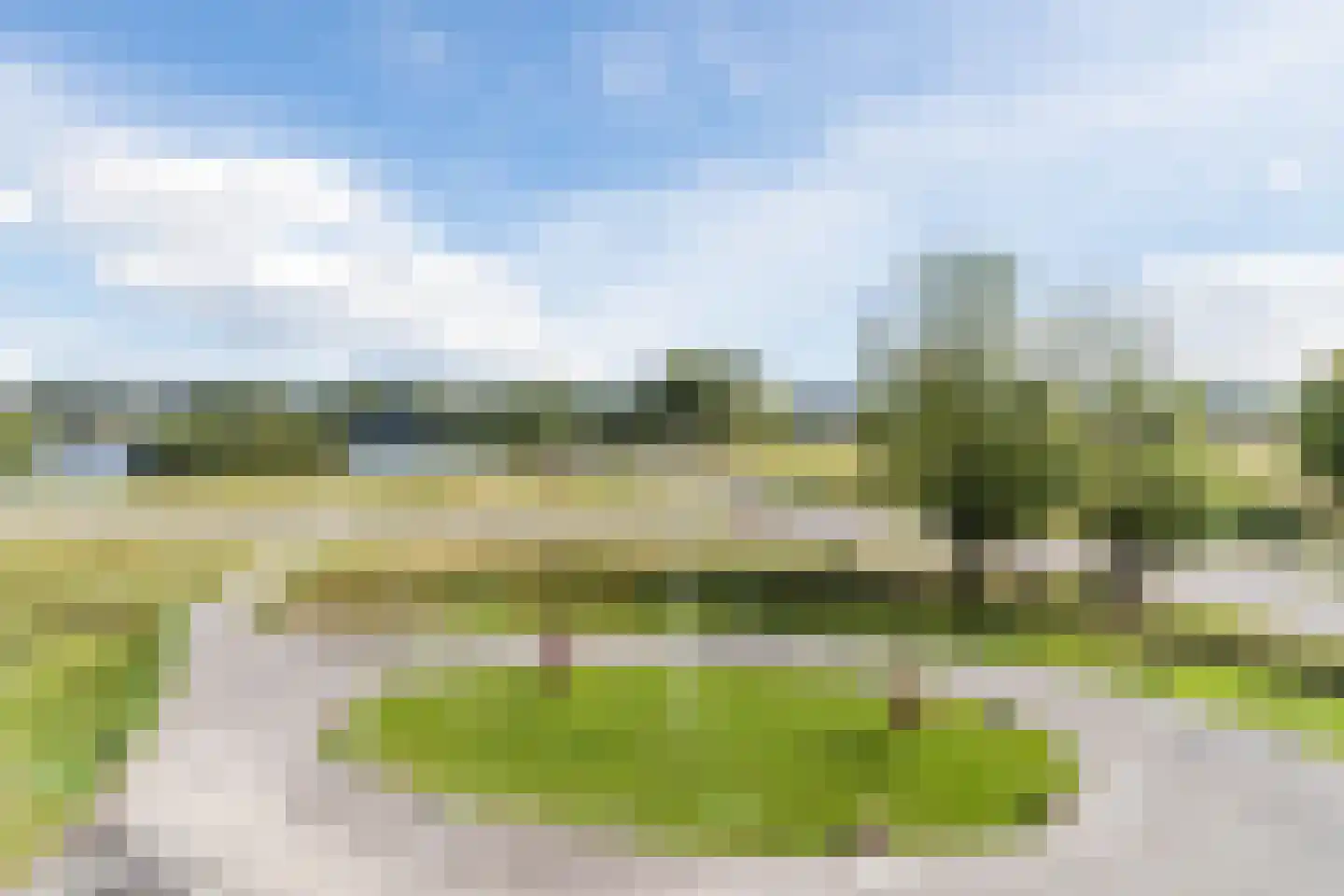 Van der Duijn van Maasdamweg 668 Rotterdam thumbnail 60