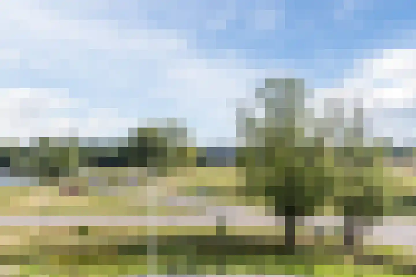 Van der Duijn van Maasdamweg 668 Rotterdam thumbnail 61