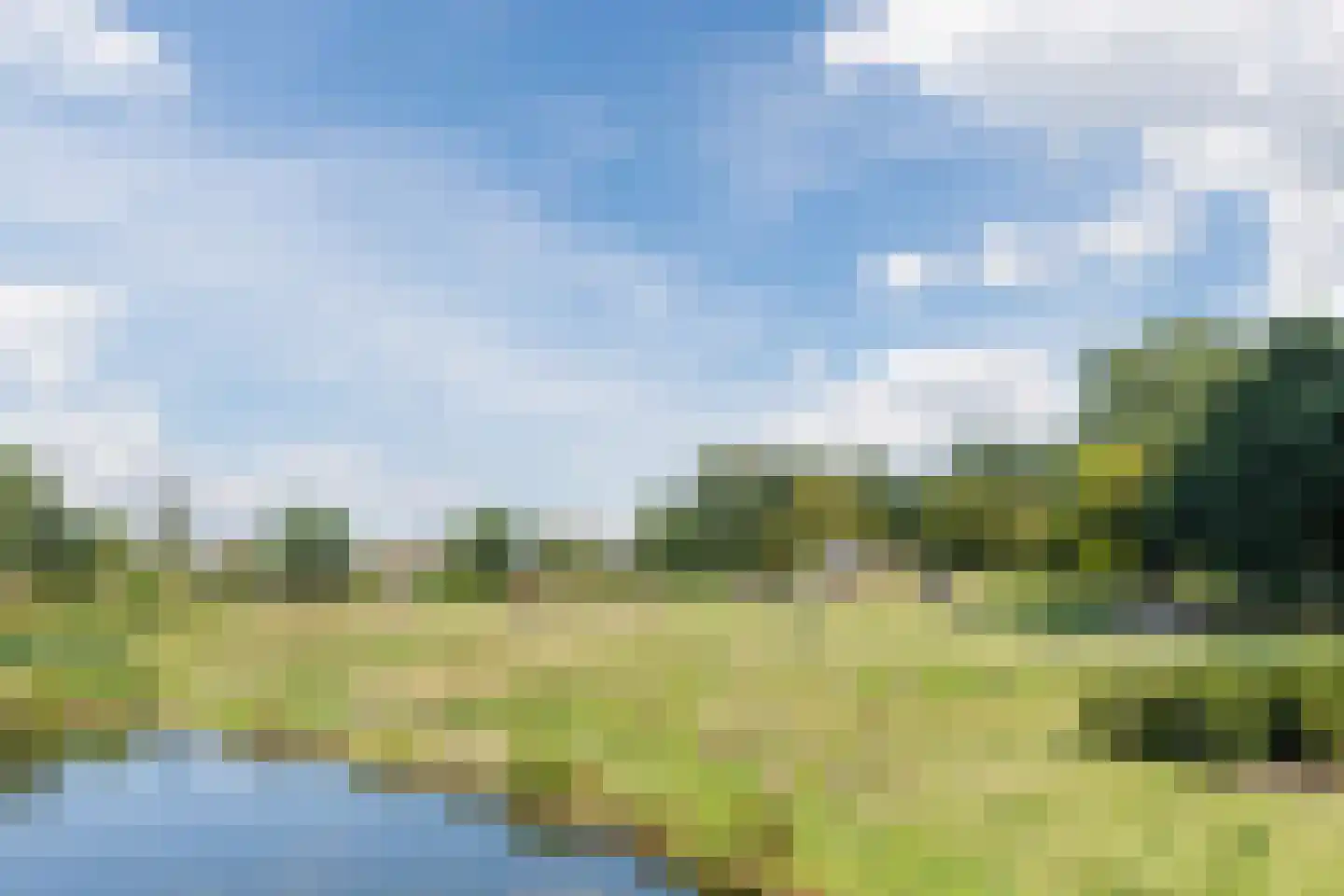 Van der Duijn van Maasdamweg 668 Rotterdam thumbnail 63