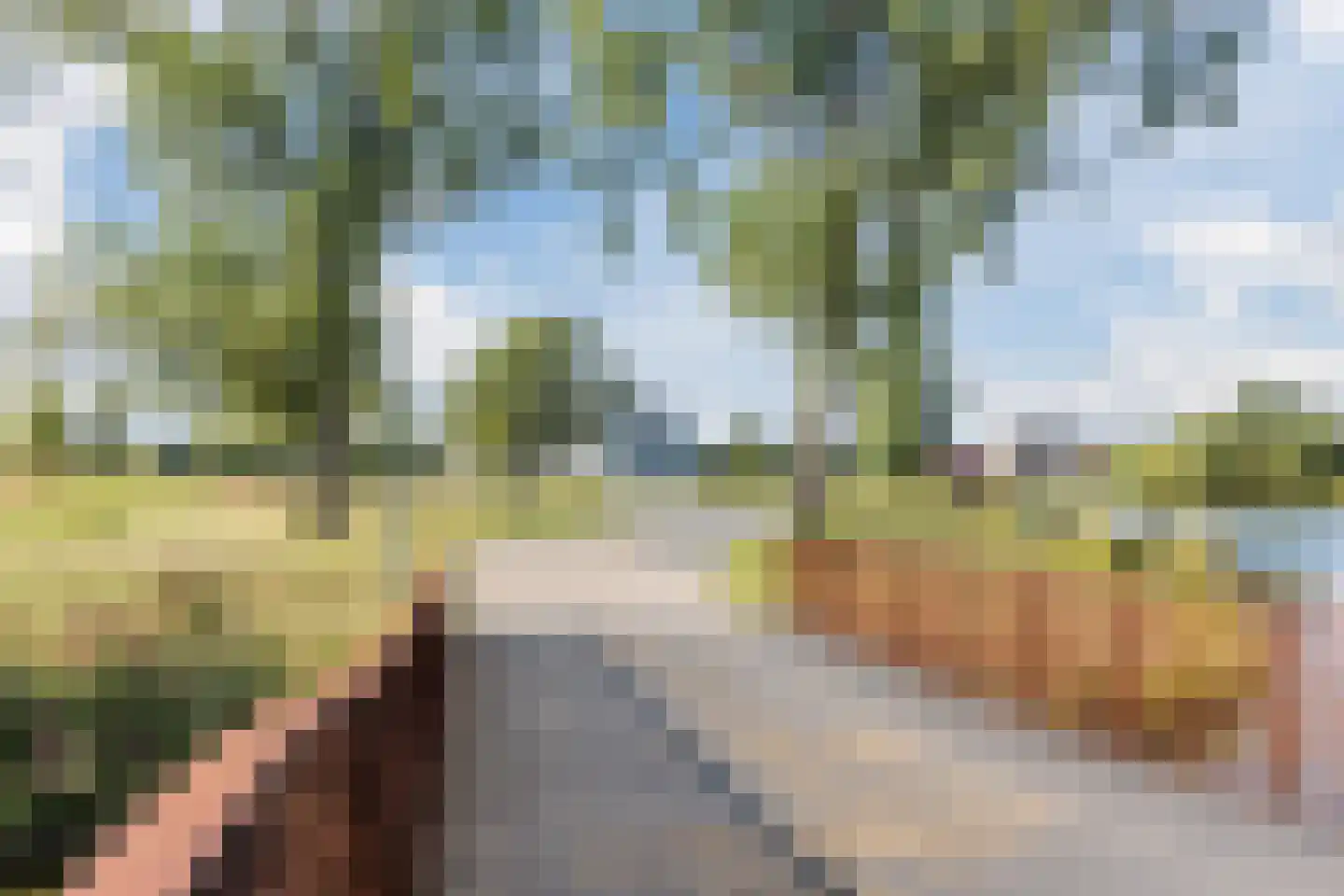 Van der Duijn van Maasdamweg 668 Rotterdam thumbnail 64