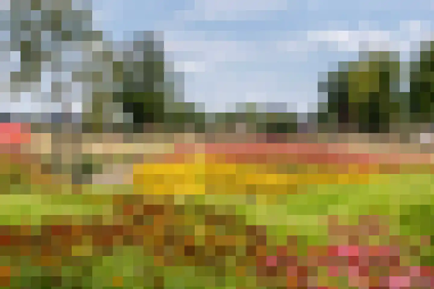 Van der Duijn van Maasdamweg 716 Rotterdam thumbnail 29