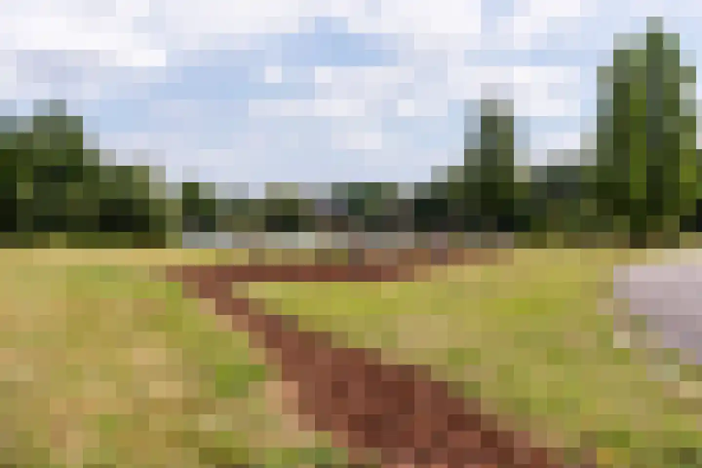 Van der Duijn van Maasdamweg 716 Rotterdam thumbnail 30