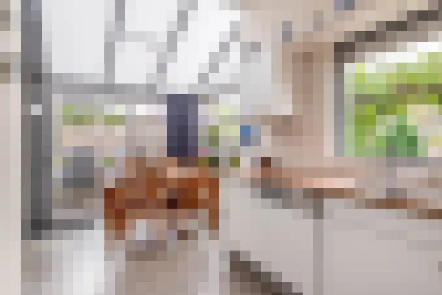 Van der Duijnlaan 15 Zevenhuizen thumbnail 15