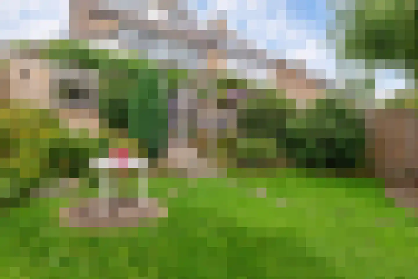 Van der Duijnlaan 15 Zevenhuizen thumbnail 32