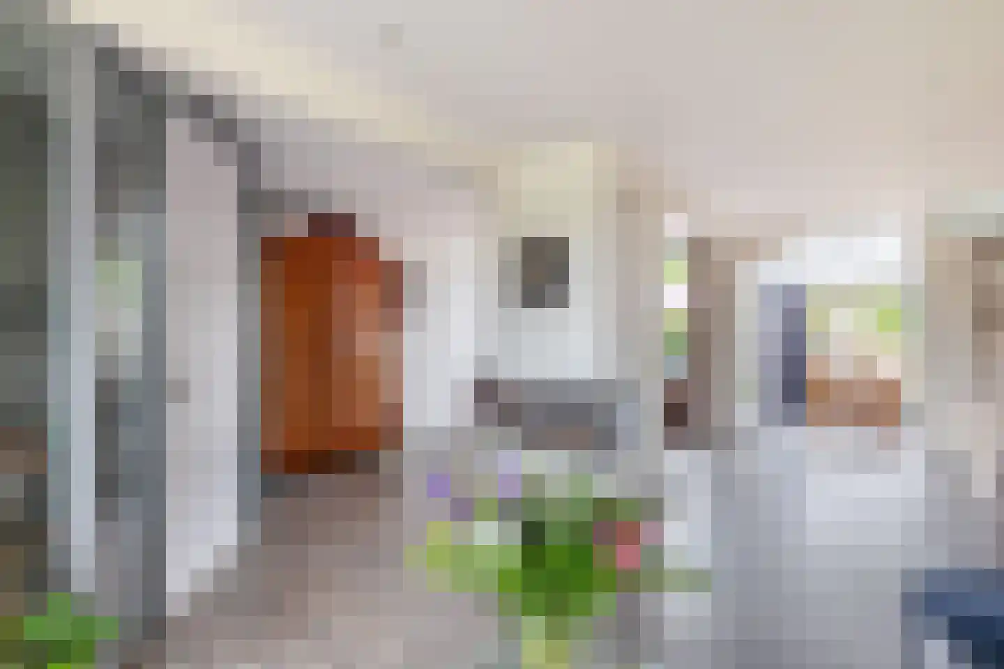 Van der Duijnlaan 15 Zevenhuizen thumbnail 9