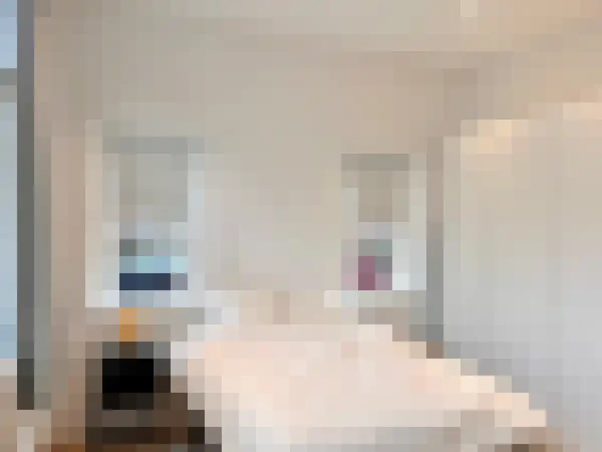 Van der Duijnstraat 1 2az Utrecht thumbnail 4