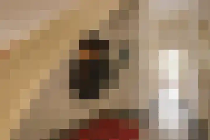 Van der Duijnstraat 13 Utrecht thumbnail 6