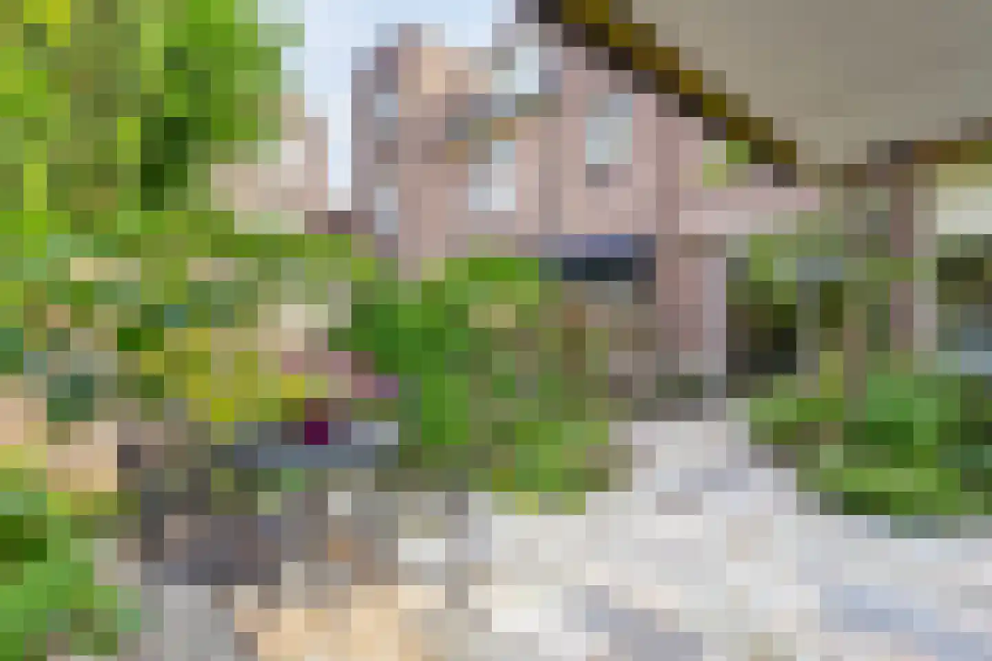 Van der Duijnstraat 17 Utrecht thumbnail 19