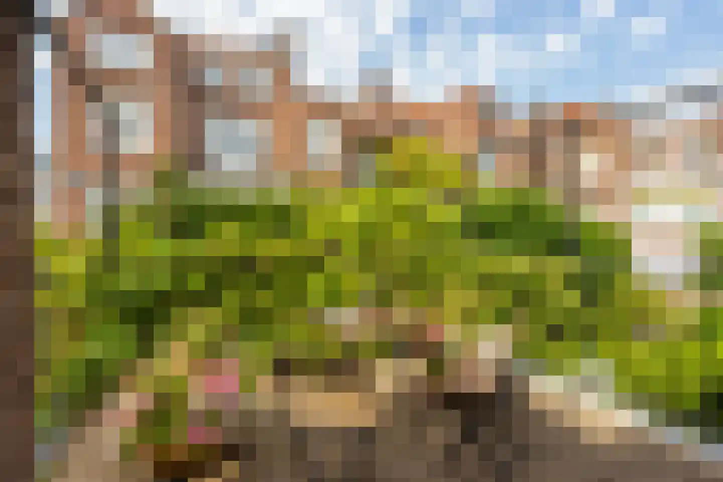 Van der Duijnstraat 17 Utrecht thumbnail 39