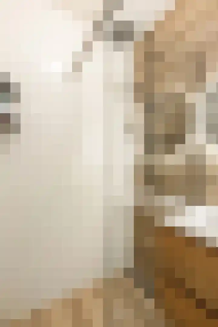 Van der Duijnstraat 31 Amsterdam thumbnail 12