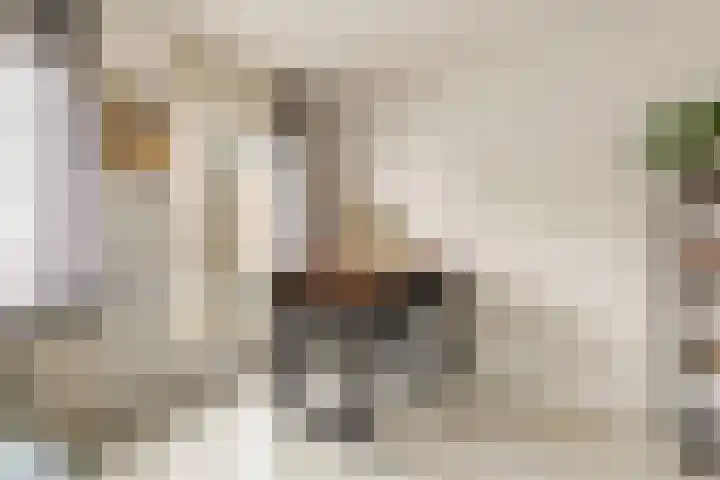 Van der Duijnstraat 31 Amsterdam thumbnail 4