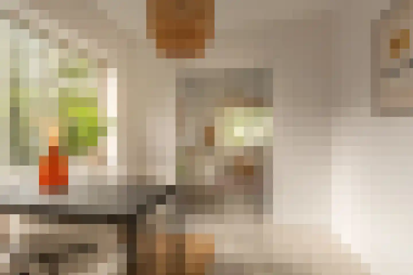 Van der Duijnstraat 35 Amsterdam thumbnail 11