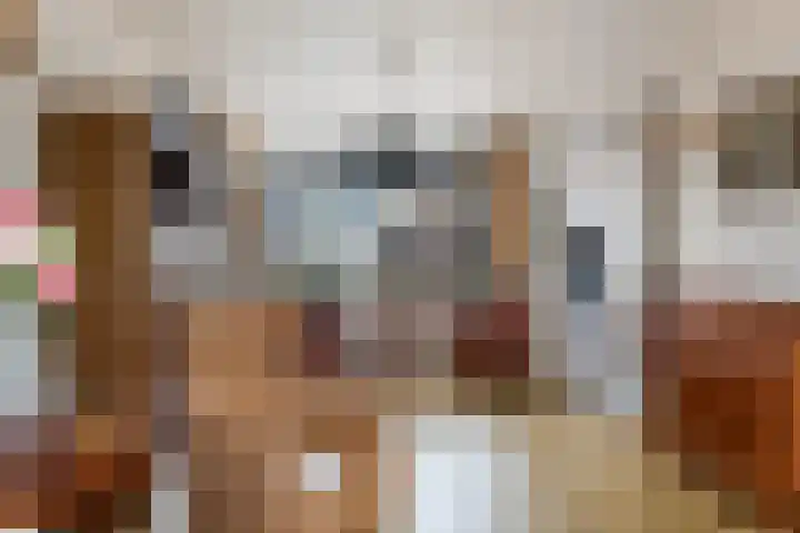 Van der Duin van Maasdamlaan 14 Woudenberg thumbnail 14