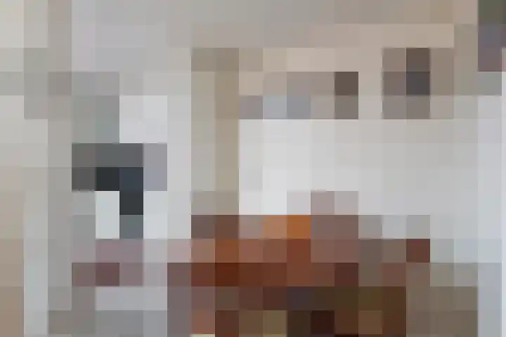 Van der Duin van Maasdamlaan 14 Woudenberg thumbnail 17