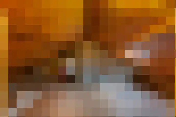 Van der Duin van Maasdamlaan 14 Woudenberg thumbnail 31