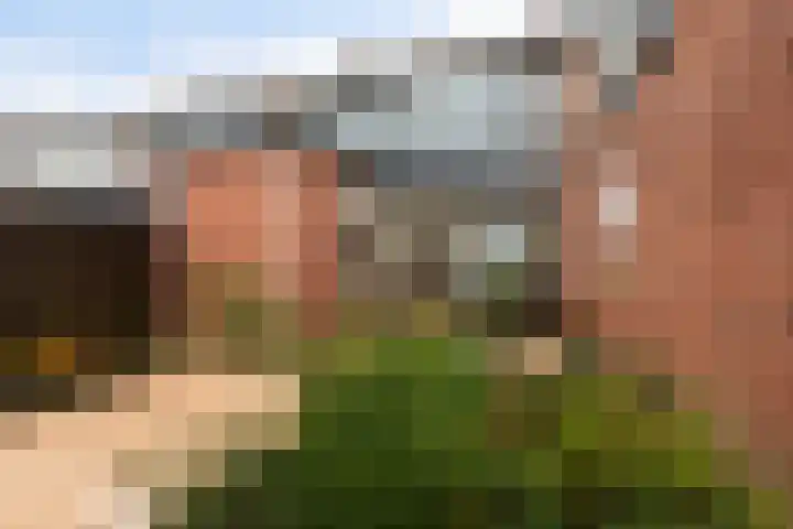 Van der Duin van Maasdamlaan 14 Woudenberg thumbnail 5