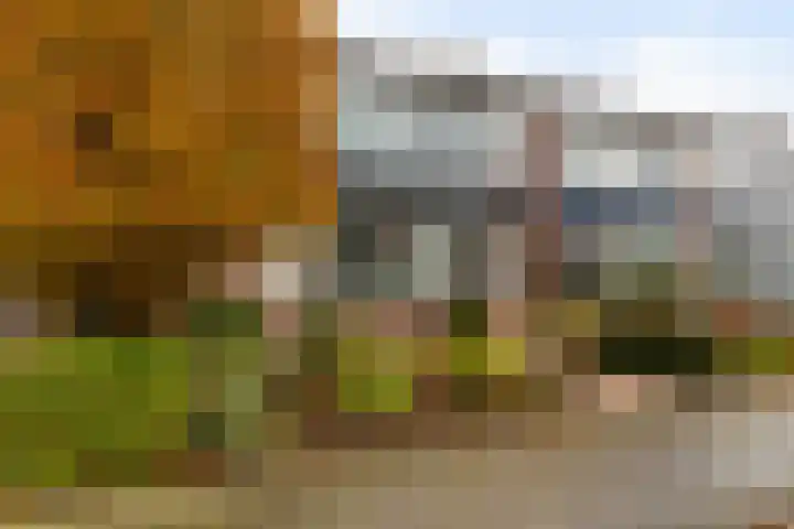 Van der Duin van Maasdamlaan 14 Woudenberg thumbnail 7