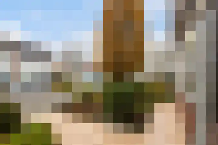 Van der Duin van Maasdamlaan 14 Woudenberg thumbnail 9