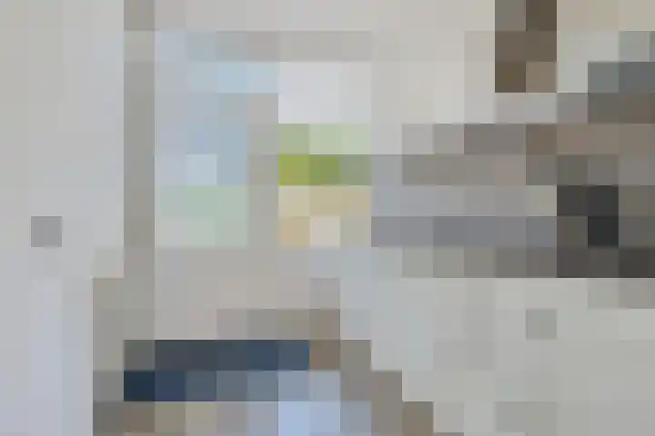 Van der Duin van Maasdamlaan 15 Woudenberg thumbnail 14
