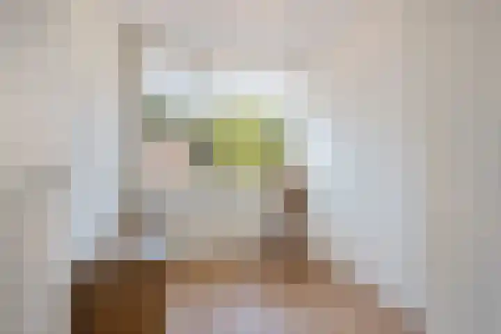 Van der Duin van Maasdamlaan 15 Woudenberg thumbnail 18