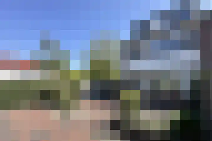 Van der Duin van Maasdamlaan 15 Woudenberg thumbnail 27