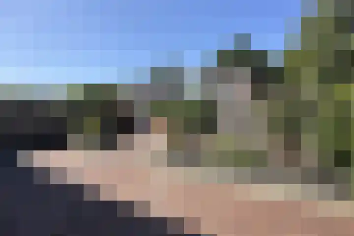Van der Duin van Maasdamlaan 15 Woudenberg thumbnail 29
